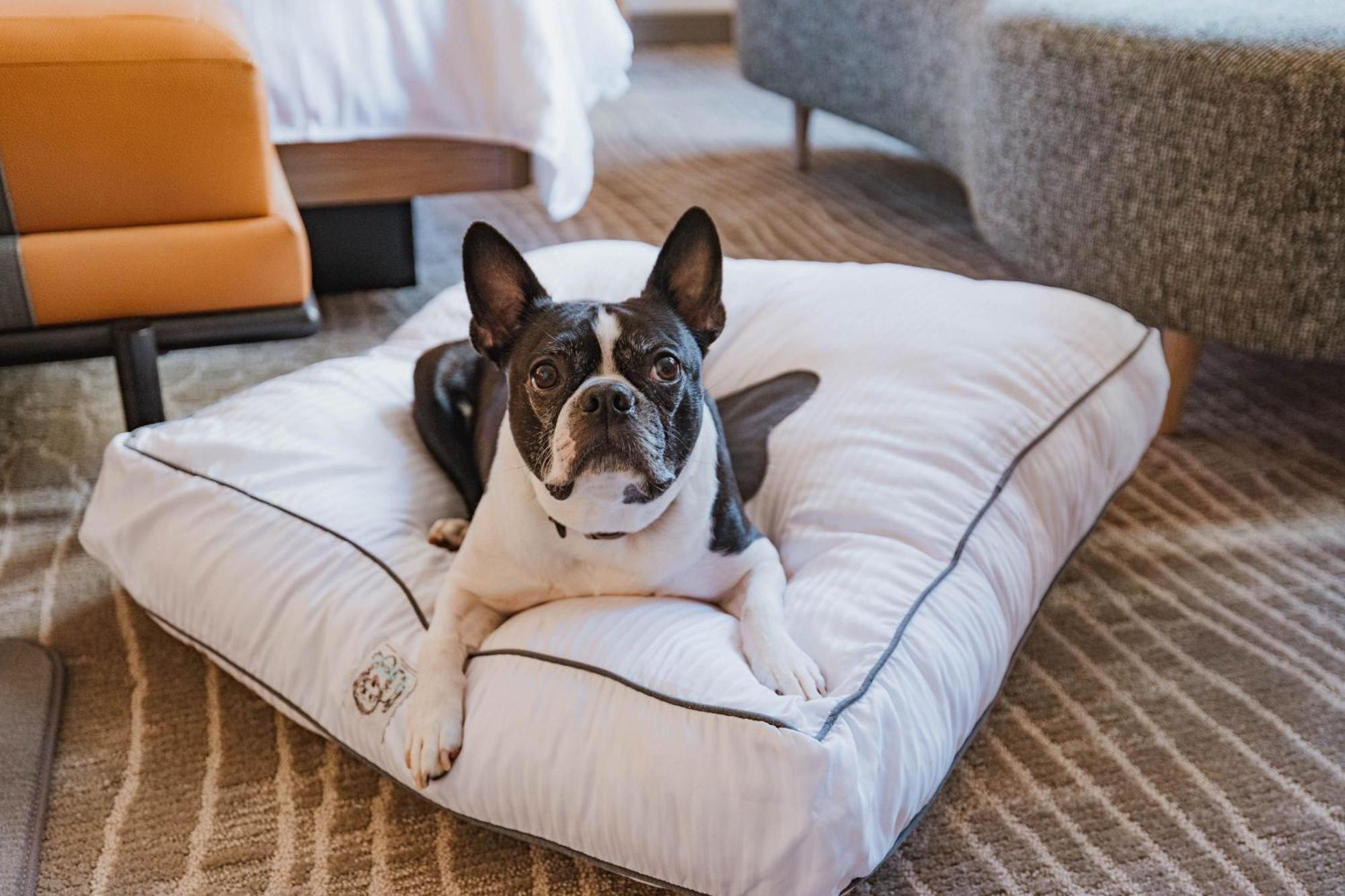 The Westin Book Cadillac Detroit Ngoại thất bức ảnh